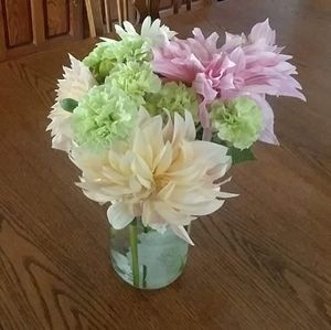 Meet your Posher, Ann